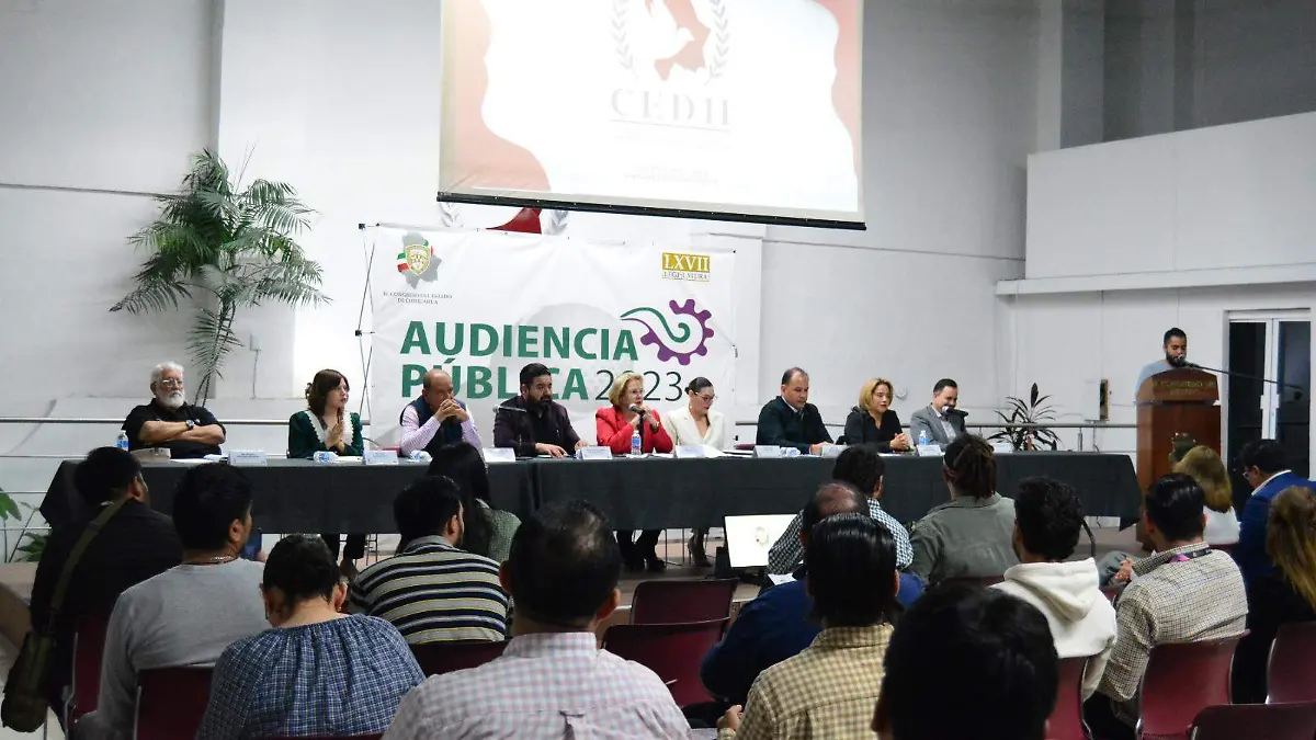 audiencia pública